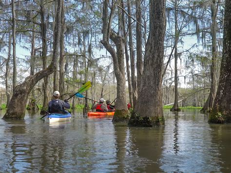 Chicot state park - Chicot State Park is a very attractive park with hilly terrain and a reservoir filled with mature bald cypress. I am writing this review as a tent camper. A day visitor or someone staying in an RV or cabin would have an entirely different …
